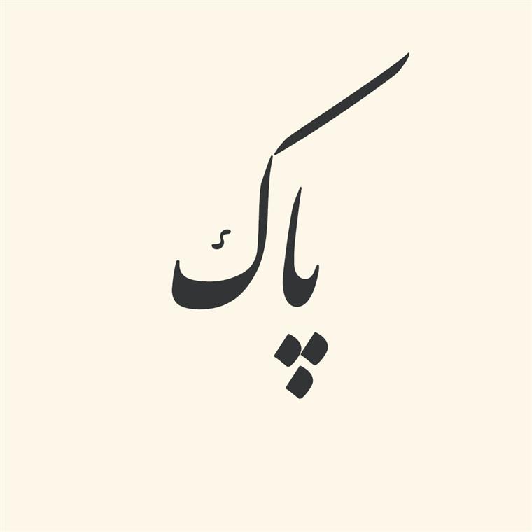 ترکیبات اسمی از «پاک»